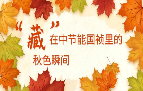 四季国祯丨“藏”在老哥俱乐部论坛里的秋色瞬间
